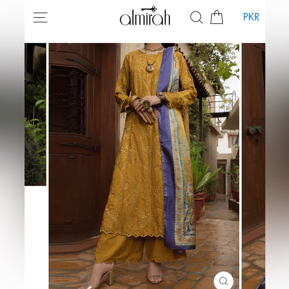 Pakistani branded dress